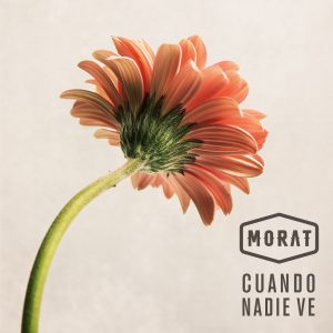 CuandoNadieVe