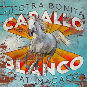 caballo blanco