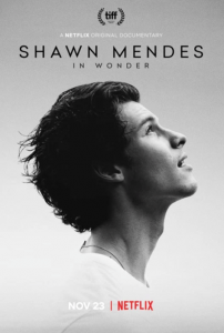In Wonder - Shawn Mendes