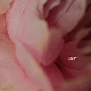 LEWIS CAPALDI - MYIPOP