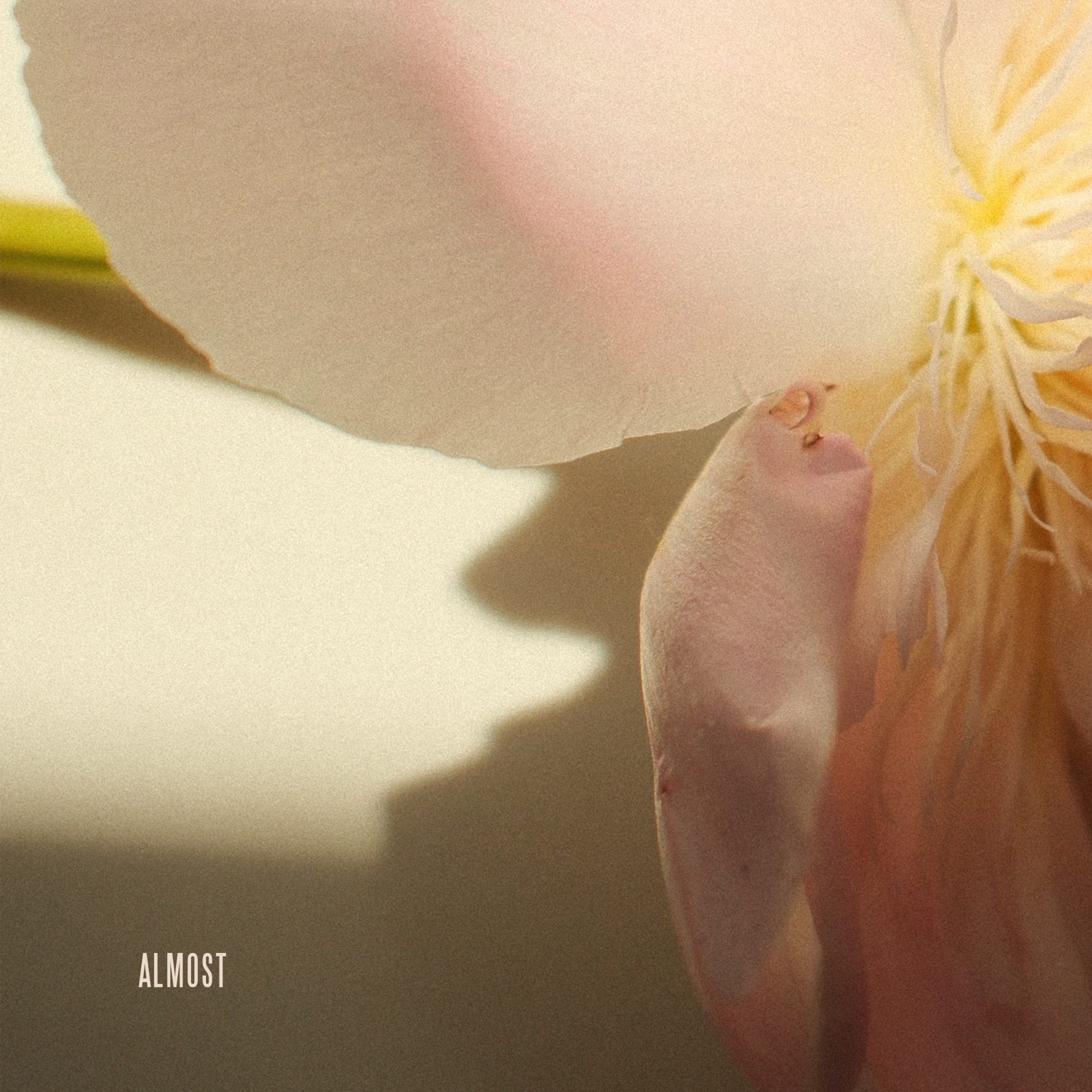 Almost, Lewis Capaldi - MyiPop