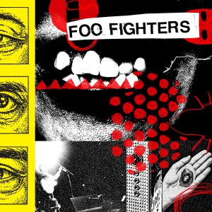 foo fighters, caught in the echo