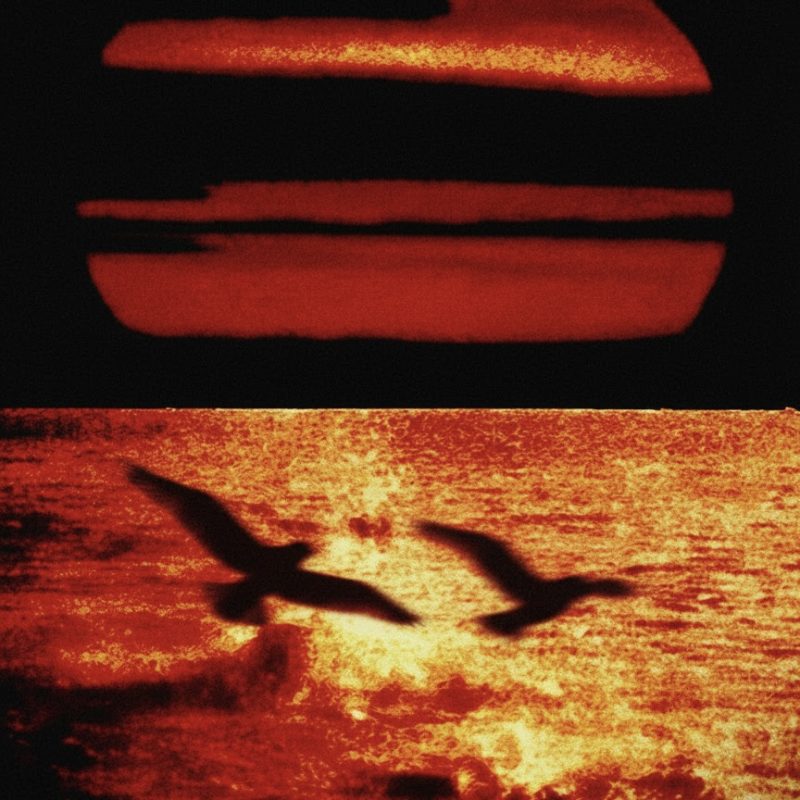 Álvaro de Luna, Llego Tarde