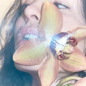 natalia lacunza, flor de canela