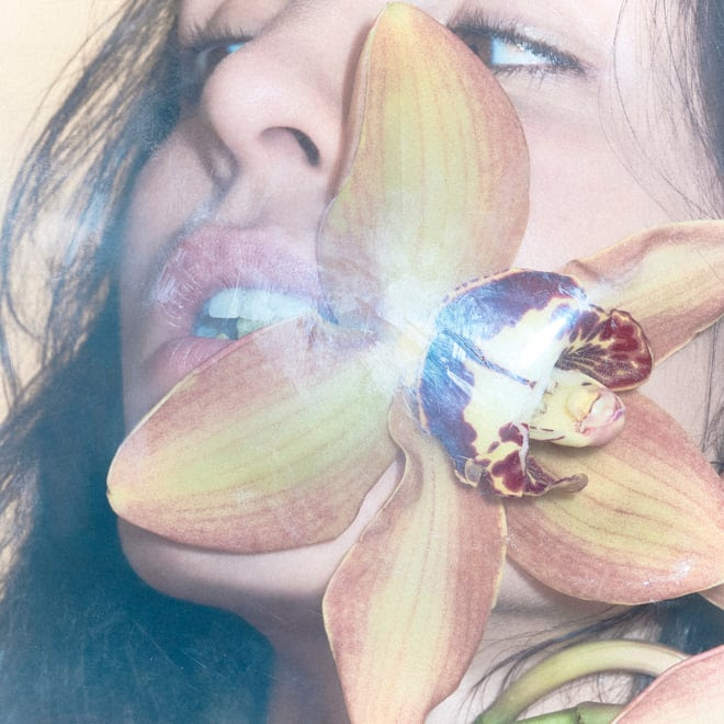 natalia lacunza, flor de canela